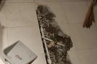 武定卫生间漏水检测电话